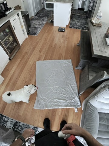 Luna's cooling blanket laid out on the dining area floor.