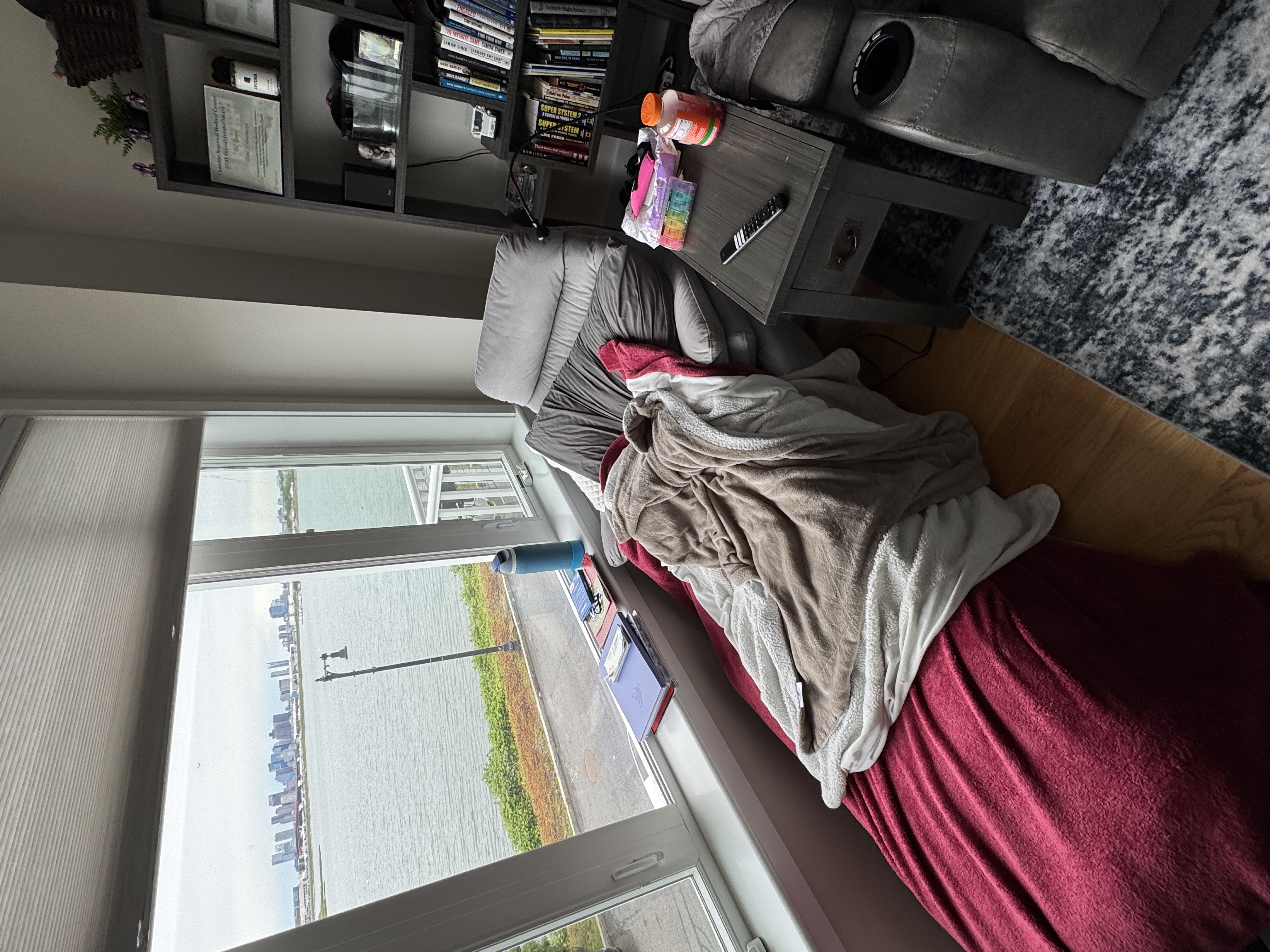 Luna's favorite chair by the window with her bed and blankets placed on top.